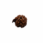 Load image into Gallery viewer, Natural Rudraksha Ganesh Rudraksha