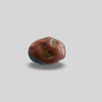 Load image into Gallery viewer, Natural Firoza 12.13cts (2/33)