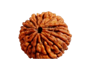 RUDRAKSHA