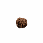 Load image into Gallery viewer, Natural Rudraksha 8mukhi