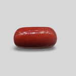 Load image into Gallery viewer, Natural Coral (Moonga) 12.89cts (39/492)