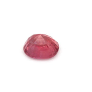 Natural Ruby (Manik) 2.23cts (2.50ratti)