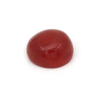 Load image into Gallery viewer, Natural Coral (Moonga) 13.86cts (15.50ratti)