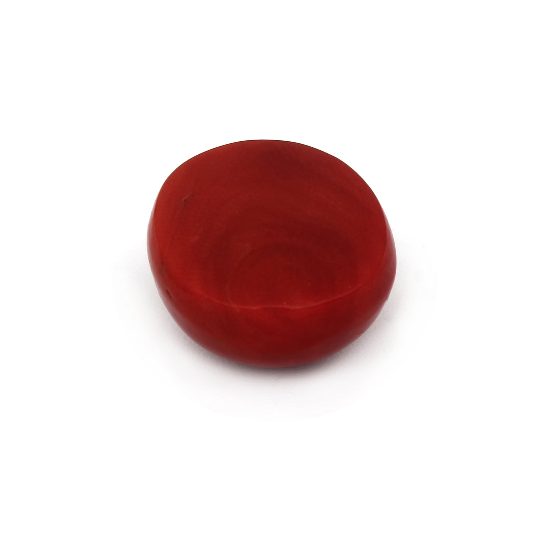 Natural Coral (Moonga) 13.86cts (15.50ratti)