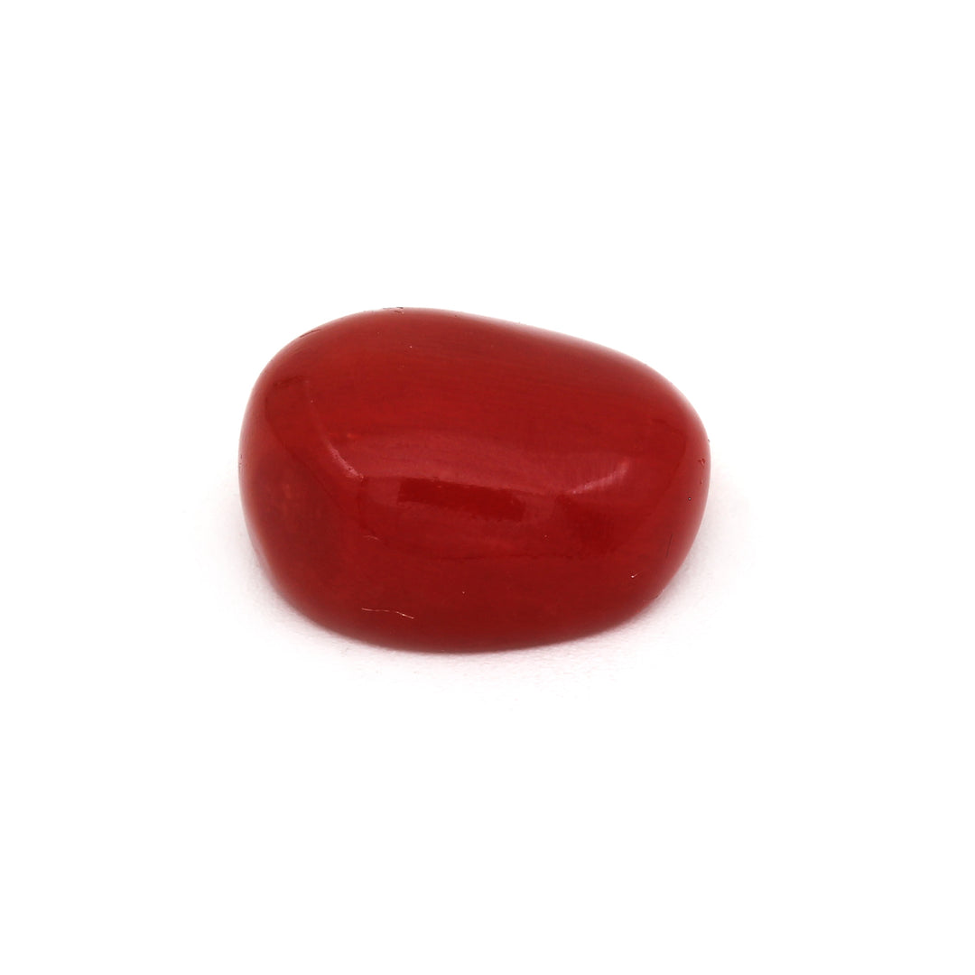 Natural Coral (Moonga) 13.51cts (15ratti)