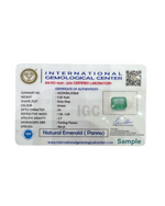 Load image into Gallery viewer, Natural Emerald (Panna) 8.66cts (42/524)
